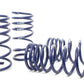 H&R 66-76 BMW 2002 E10 Sport Spring