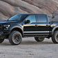 Fabtech 17-20 Ford Raptor 4in System