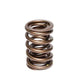 COMP Cams Valve Spring 1.470in 2 Spring