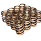 COMP Cams Valve Spring Set Acura B18