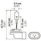 Hella Bulb 862 12V 37.5W PGJ13 T3.25