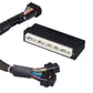 Haltech Honda Integra DC5/05-06 Acura RSX Elite 1000/1500 Plug-n-Play Adaptor Harness