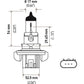 Hella Bulb H13 12V 60/55W P264T T4 +50