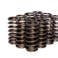COMP Cams Valve Springs 0.960in Inner R