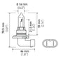 Hella Bulb 9005 12V 65W P20D T4 +50