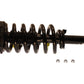KYB Shocks & Struts Strut Plus Rear Ford Expedition (2wd/4wd) 2006-2003