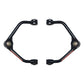 Skyjacker Suspension 2-3 Inch Upper A-arm Pair w/HD Ball Joints And Bushings 2019-2021 Ram 1500 4WD