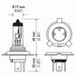 Hella Bulb 9003/Hb2 12V 60/55W P43T T46 Sb