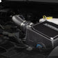 Corsa 11-13 Ford F-150 Raptor 6.2L V8 Air Intake