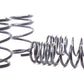 H&R 04-06 BMW 525i/530i/545i E60 Race Spring (w/o Self Leveling)
