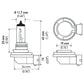 Hella Optilux H8 12V/35W XB Xenon White Bulb (pair)