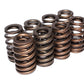 COMP Cams Valve Springs 1.240in Beehive