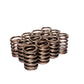 COMP Cams Valve Springs Chrysler 6 Cyli