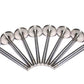 COMP Cams Ss Valves SBC Exh 1.600in 11/3