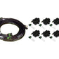 Haltech Big/Small Block GM/Chrysler Hemi V8 8 Channel High Output IGN-1A Inductive Coil & Harn Kit