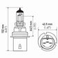 Hella Bulb 9004 12V 65/45W P29T T4625 +50 (2)