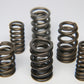 Ferrea MINI Cooper Dual Valve Spring - Set of 16