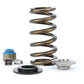 COMP Cams 11-14 Ford Coyote/Boss 5.0L .600in Max Lift Valve Spring Kit w/ Ti Retainers