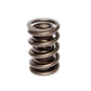 COMP Cams Valve Spring 1.550in 2 Spring
