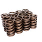 COMP Cams Valve Springs 1.250in Outer