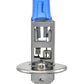 Hella Bulb H1 12V 55W Xen Wht Xb (2)