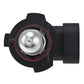 Hella H10 12V 42W Xen White Bulb (Pair)