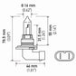 Hella HB3 9005 12V 100W P2OD T4 High Wattage Bulbs (Pair)