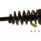 KYB Shocks & Struts Strut Plus Rear Ford Expedition (2wd/4wd) 2006-2003