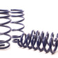 H&R 11-14 Dodge Charger RT (2WD) RT MAX V8 Sport Spring
