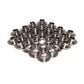 COMP Cams Titanium Retainers 4.6L 4V Fo