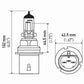Hella Bulb 9004/Hb1 12V 65/45W P29T T46 Sb