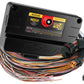 Haltech Nexus PD16 + Flying Lead Harness (5M)