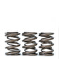 Skunk2 Tuner Series Honda/Acura (B16A/ B17A/ B18C) DOHC VTEC Alpha Valve Spring Set (Dual Springs)