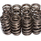 COMP Cams Valve Springs Performancee Gm