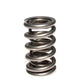 COMP Cams Dual Valve Spring .675in Lift